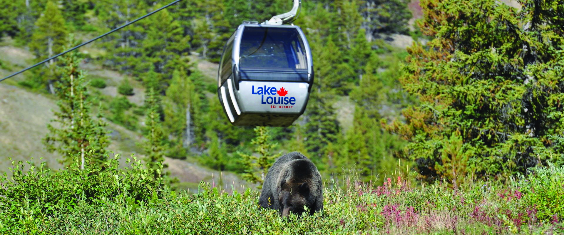 Lake Louise Summer Gondola